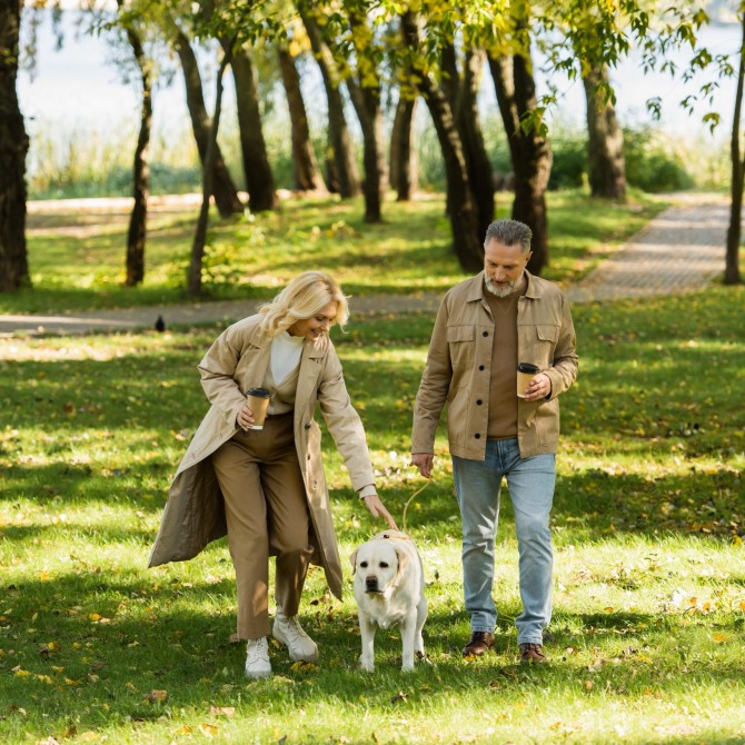 The Capital Gains Tax essentials you need to know