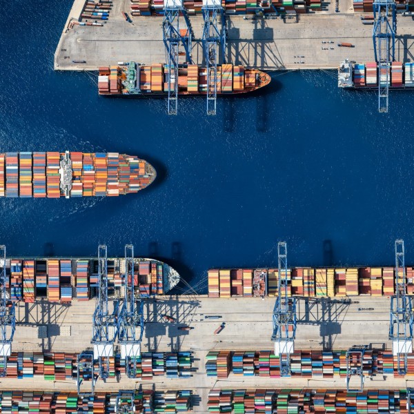 Investment market update: February 2026