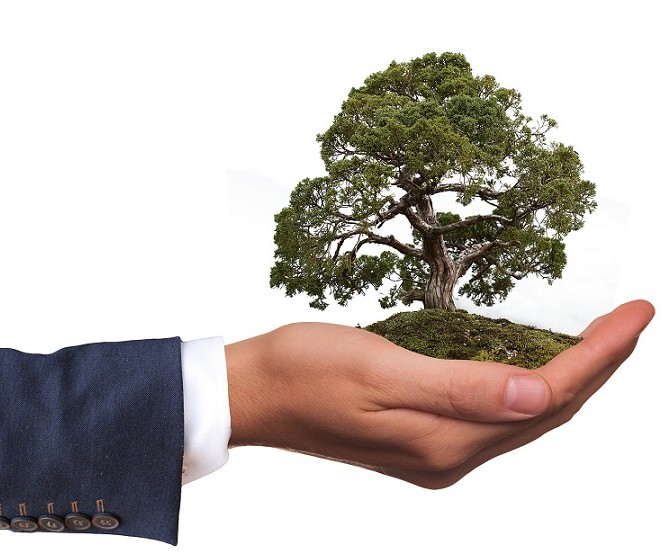 Socially Responsible Investment - Do you want to go green?