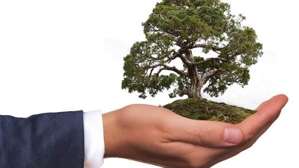 Socially Responsible Investment  - Do you want to go green?