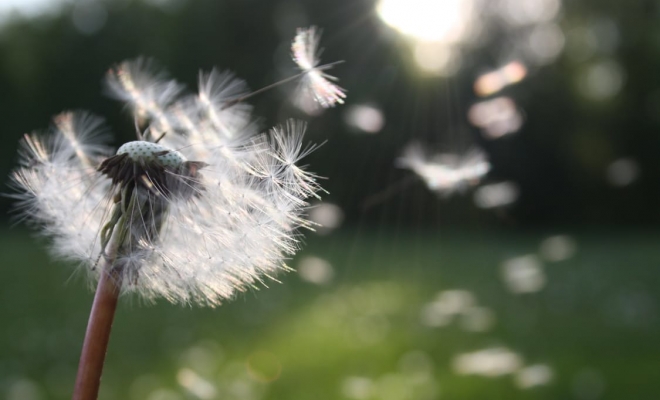 How to combine work/life balance, job satisfaction and retirement