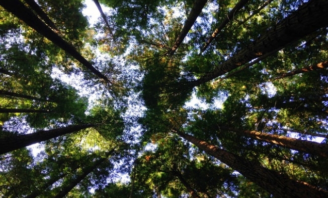 Responsible Investing - Where Are We Now?