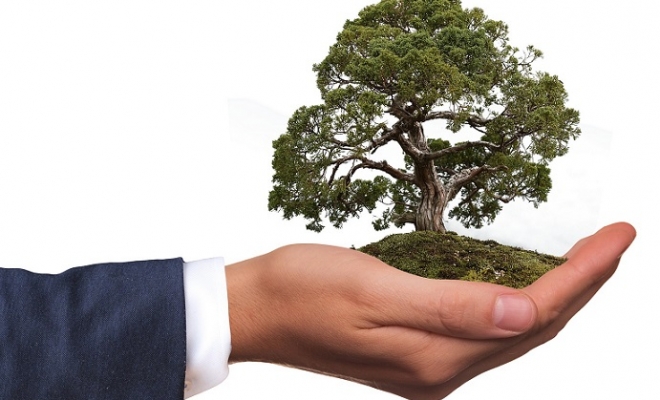 Socially Responsible Investment - Do you want to go green?