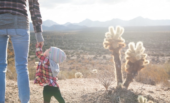 Teaching your children about money in family life